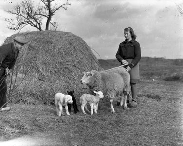 821086 Afbeelding van een boer Van de Bilt en zijn dochter (Huppeldijk 2) te Utrecht met een schaap met drie lammetjes.
